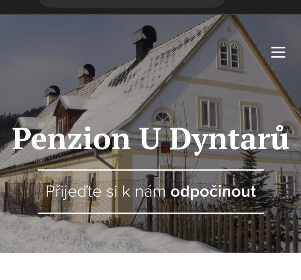 公寓 U Dyntaru *